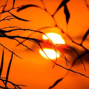 名づけられない思い