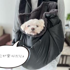 ☆ 今年も一年間有難うございました！ ☆