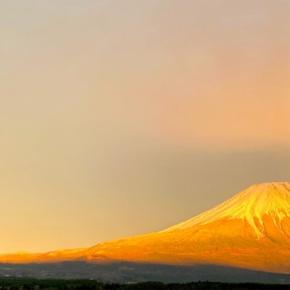 今年もお世話になりました。