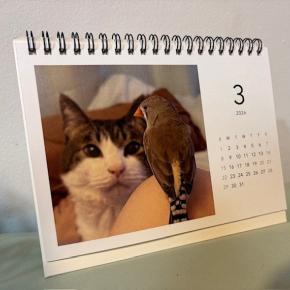 冬の6DAYSセール開催中