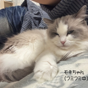 ひょっこりモネちゃん