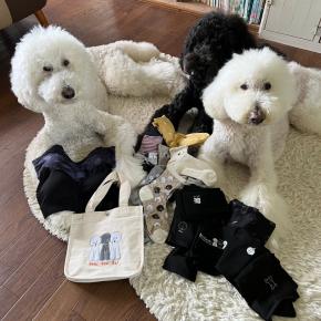 しまむら様コラボ予約可能期間