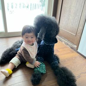 そのくせ泣いてしまう