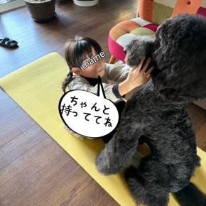 お寿司のための腹筋