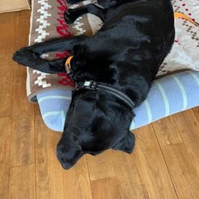 2022年11月20日は、ジェットコースターが急激に下り始めた時期です。