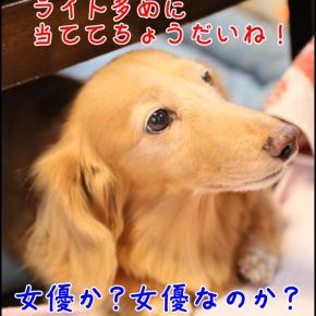 みゅう様は美魔女！！！