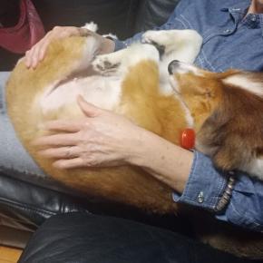 マジで〇〇〇する3秒前