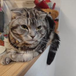 37週4日:無事に明けました！