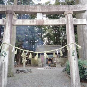 今年も植物たちとともに・・・