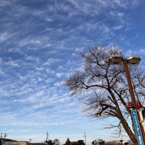 Time flies like an arrow