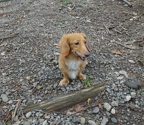 1時間での移動距離