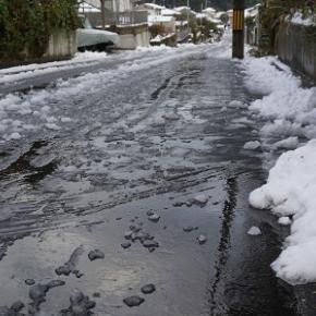 寒さに負けない｢ふう太とセブン｣