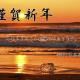 📷 謹賀新年・・・。