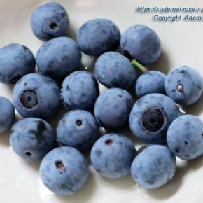 ブルーベリー ブラックベリー