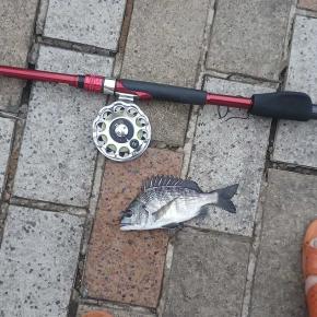 木曜日のヘチ釣り・・・チンコの巣へ新規開拓？