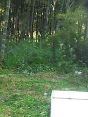 久しぶりの更新