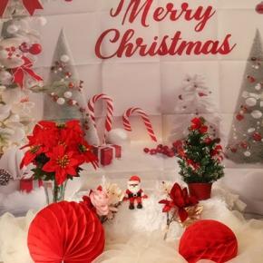 クリスマスイブ2025♪でし♪