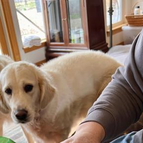 Lamby the second 〜ラミー二世〜