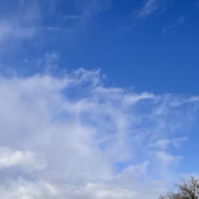 The rainbow 〜虹〜