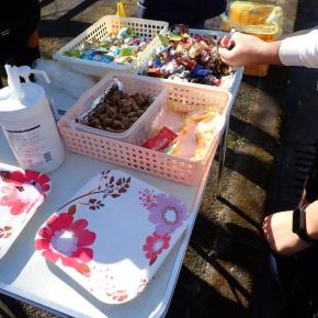 第41回いぶすき菜の花マラソン大会走行記（中編）