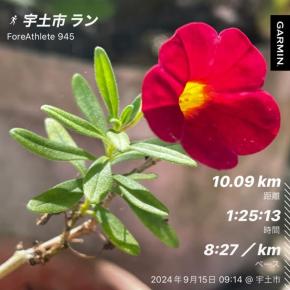 まだまだ暑い！