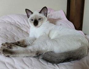 かなり久しぶりなゆったり年末。