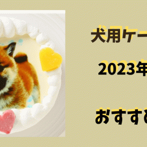 【犬用ケーキ】2023年ネット通販で人気のおすすめ7選