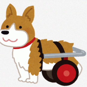 犬用車椅子のネット通販おすすめランキングとオーダーメイドショップ