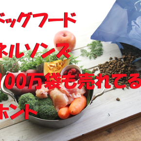 ネルソンズドッグフード、イギリス販売100万袋の口コミ、原材料と値段