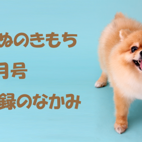 雑誌【いぬのきもち9月号】付録！ペットボトルホルダー、歯ブラシとブランケット