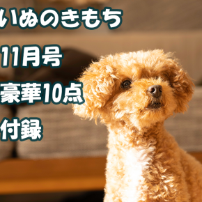 雑誌【いぬのきもち11月号】付録！お散歩ボトルホルダー、ひっぱりっこザウルス