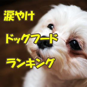 犬の涙やけドッグフード、おすすめ10選ランキング！改善のフードとは