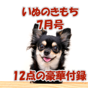 雑誌【いぬのきもち】7月号「お散歩バッグ&マナーポーチ」豪華12点の付録の中身