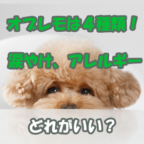 オブレモは4種類！涙やけ、アレルギーに効果はどのOBREMO？