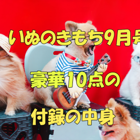 雑誌【いぬのきもち】9月号！豪華10点の付録の中身「愛犬マルチケース＆お散歩バッグ」