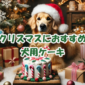 【犬用ケーキ】クリスマスにおすすめ2024年人気の10選
