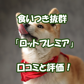 ロットプレミアドッグフードの口コミ！おすすめビーフ＆コラーゲン徹底評価