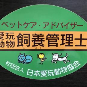 ペットシッターやドッグトレーナーに「愛玩動物飼養管理士」おすすめ資格