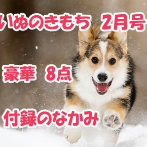 雑誌【いぬのきもち】2026年2月号!豪華8点の付録の中身｜ひっぱりっこモンスター