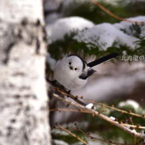 よいお年をお迎えください