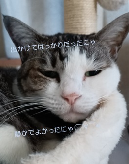 12月度母の面会