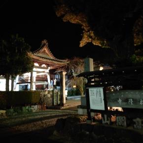 初めて訪れた場所から新年の始まりデス