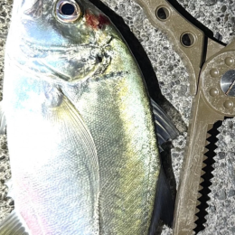 ガラポン抽選はあす9時から18時まで★