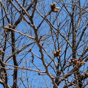 かなり気に入ってる