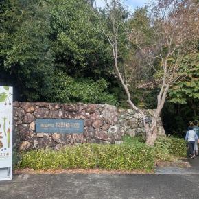 ヤっと確認できる程度