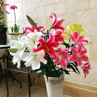 明けましておめでとうございます