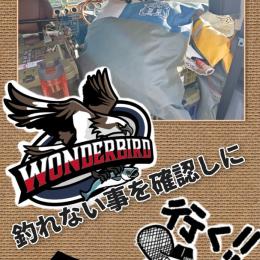 先週の 釣れないを確認する釣り。φ(･ω･｀)…