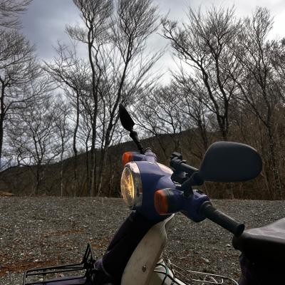 本年もよろしくお願いします