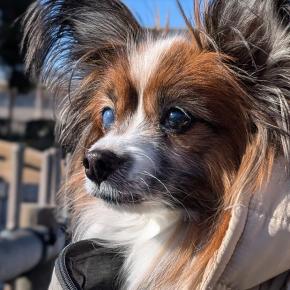 2025年【買ってよかったもの】ベスト5！