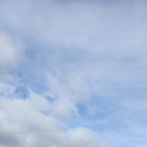 りんご狩りとヘーゼルナッツ拾い@Dixie Orchards